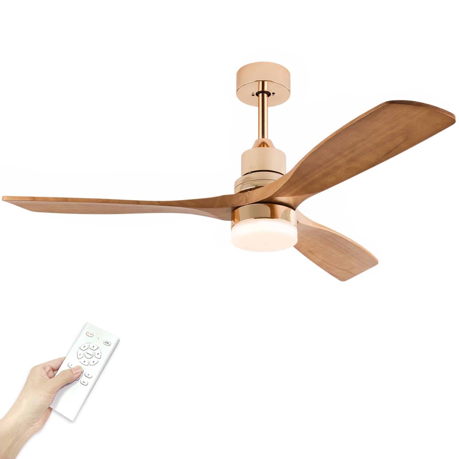 Amazon.com: Modern Indoor Ceiling Fan with Light Remote